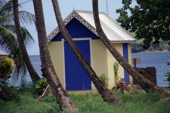 The Grenadines