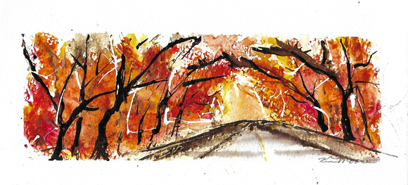 Inktober 14 of 31: Autumn Road,