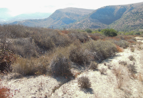 Dry, Dry, Dry