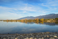 Audubon Trip to Santa Fe Dam: 01-19-2015