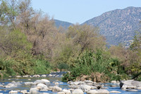 Looking North