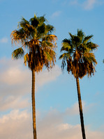 Lovely Long Beach