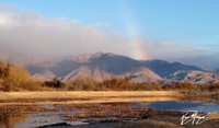 Anza-Borrego