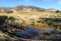 Lower Little Oak Creek,