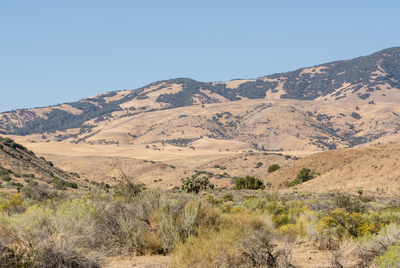 Cottonwood Creek Crossing