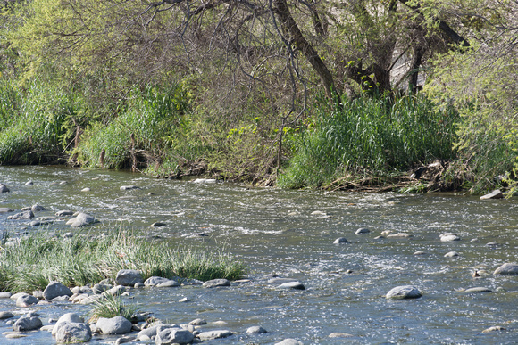 LA River at North Atwater Park