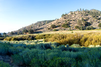 Past the meadow