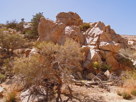 In the wash in Smithwater Canyon