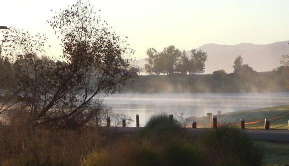 Morning mist