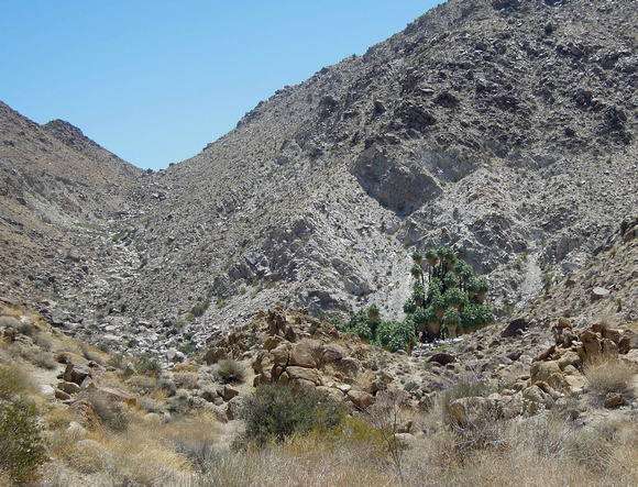 A view of the Oasis form the trail
