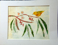 Yellow Warbler - Setophaga petechia , Eucalyptus (Collage)