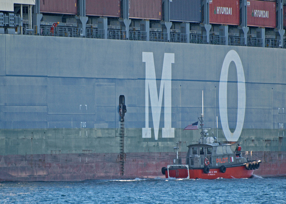 Pilot at top of ladder boarding the ship