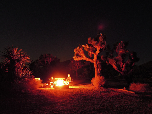 Entomologists around the campfire
