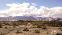 Anza-Borrego