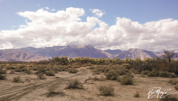 Anza-Borrego
