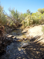 Cottonwood Creek Crossing