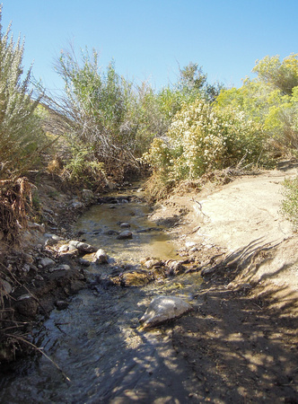 Cottonwood Creek Crossing