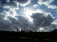 Bonelli before the rain