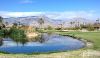 Anza-Borrego