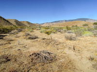 Cottonwood Creek Crossing