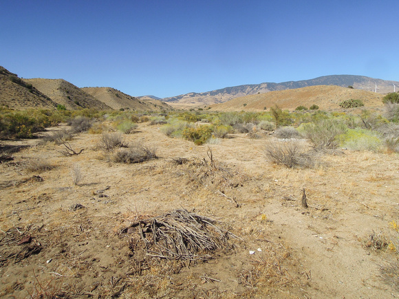 Cottonwood Creek Crossing