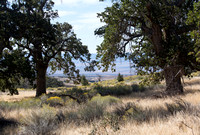 Lower Little Oak Creek,