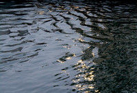 Abstract light on water