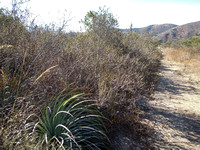 Dry, Dry, Dry