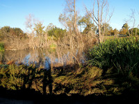 Prado Regional Park