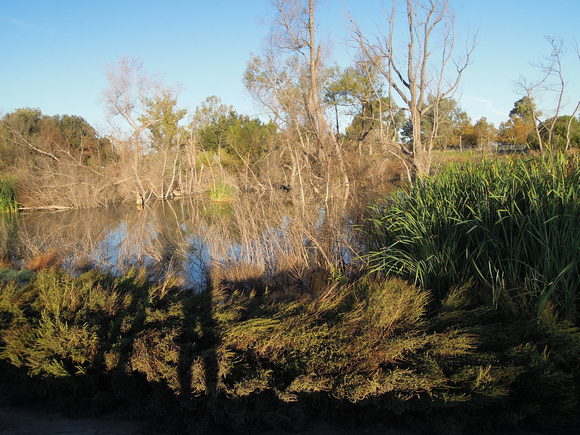 Prado Regional Park