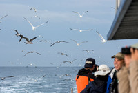 Pelagic Trip